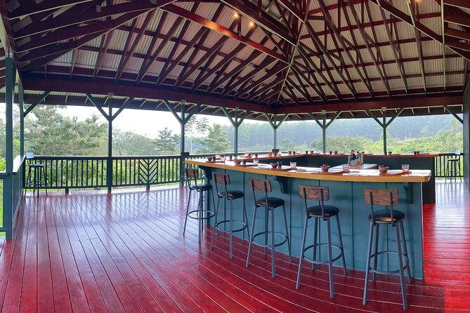 10 Bar Hawaiian Craft Chocolate Tasting Experience - A chocolate tasting with a view above Hilo