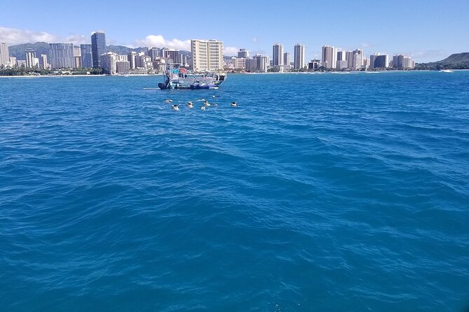 12pm Turtle Canyon Snorkel Adventure - Is $84.77 a fair price?