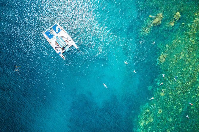 2.5 Hour Xpress Snorkel from Ka’anapali Beach - Booking, weather, and timing advice