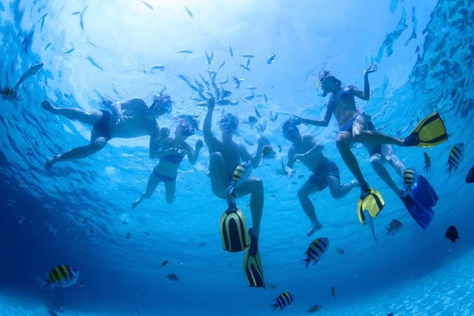 2.5 Hour Xpress Snorkel from Ka’anapali Beach - A quick ride to Mala Wharf, not a long cruise
