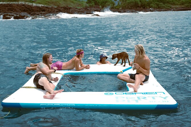 2 Hour Big Island Dolphin Watching and Sea Turtle Snorkel Tour - A Kona morning built around dolphins