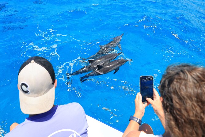 2 Hour Big Island Dolphin Watching and Sea Turtle Snorkel Tour - A crew that pays attention to comfort