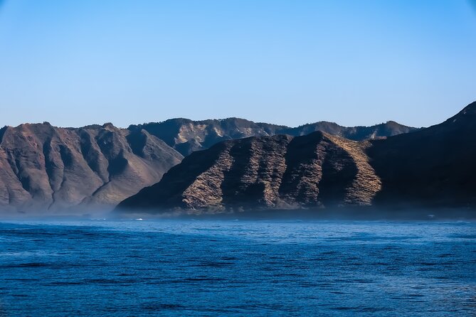 2 Hour Big Island Dolphin Watching and Sea Turtle Snorkel Tour - Meeting in Kailua-Kona