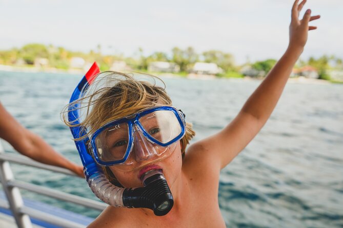 2-Hour Mauna Kea One Stop Sealife Snorkel Adventure - Key points at a glance
