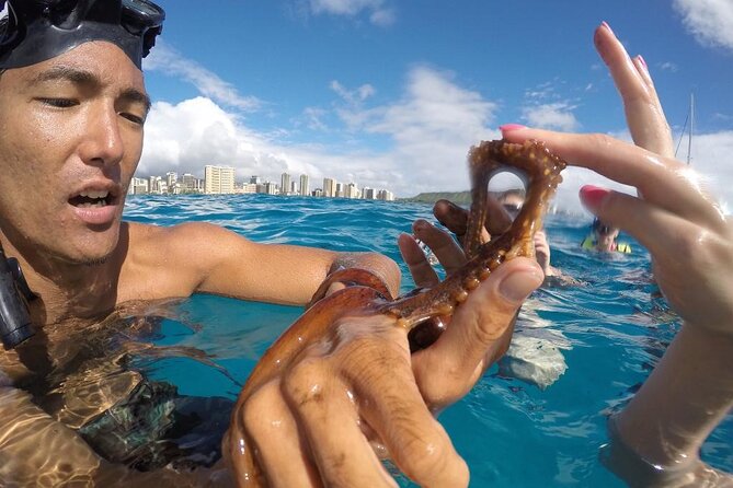 2-Hour Mauna Kea One Stop Sealife Snorkel Adventure - 49 Black Sand Beach and the changing coast