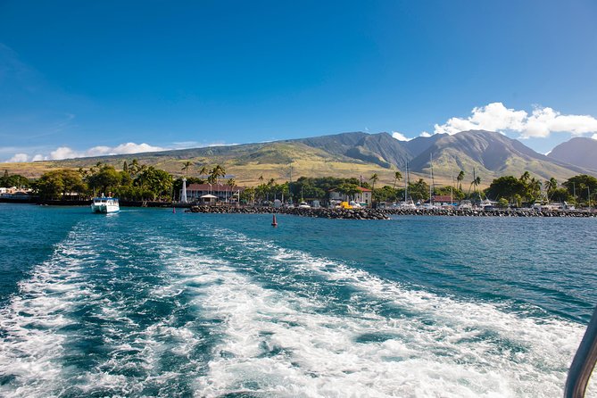 2-Hour Oahu Whale Watch from Ala Wai Harbor, Waikiki - Choosing the best place on the boat
