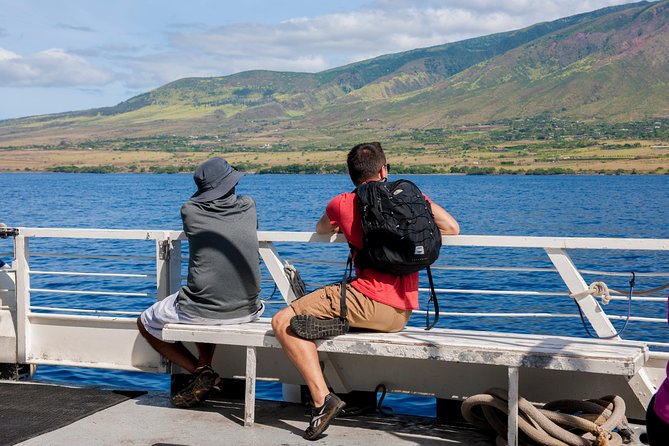 2-Hour Oahu Whale Watch from Ala Wai Harbor, Waikiki - What else might appear beside the whales
