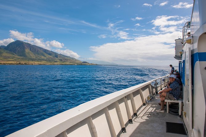 2-Hour Oahu Whale Watch from Ala Wai Harbor, Waikiki - Sea conditions, seasickness, and comfort