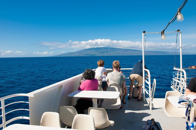 2-Hour Oahu Whale Watch from Ala Wai Harbor, Waikiki - Is $49.95 a good value?
