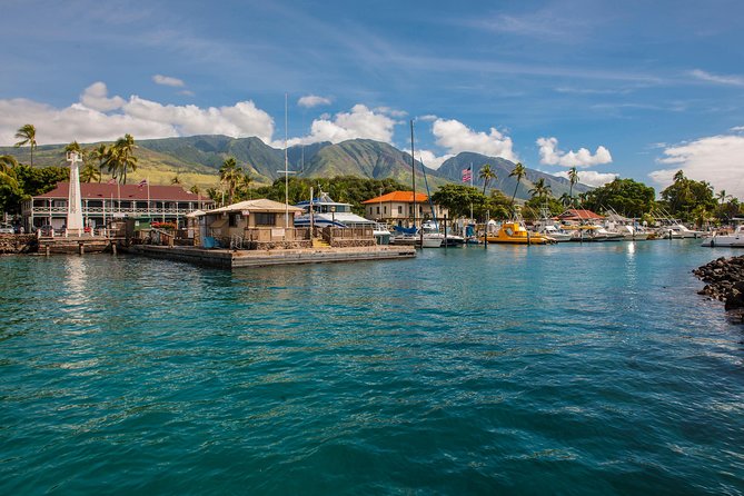 2-Hour Oahu Whale Watch from Ala Wai Harbor, Waikiki - The views from Waikiki Beach to Diamond Head