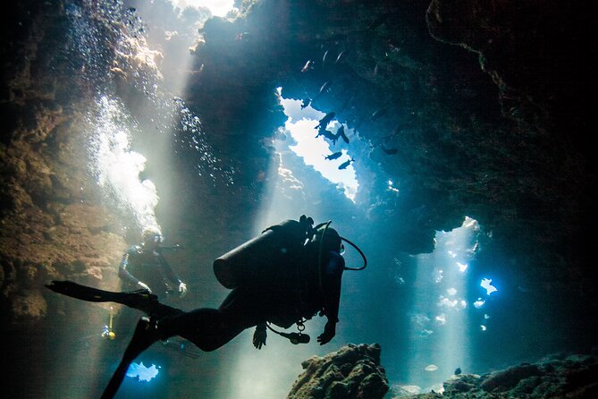 2 Tank Lanai Cathedral Scuba Dive Via Boat for Certified Divers - Key points to know before booking