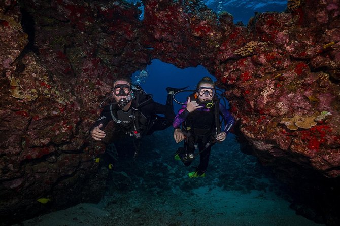 2 Tank Lanai Cathedral Scuba Dive Via Boat for Certified Divers - What the crew does well