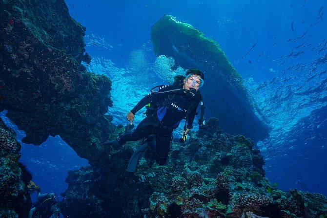 2 Tank Lanai Cathedral Scuba Dive Via Boat for Certified Divers - Boat comfort, timing, and the price