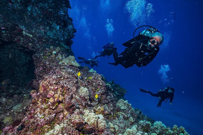 2 Tank Lanai Cathedral Scuba Dive Via Boat for Certified Divers - Who will enjoy this most
