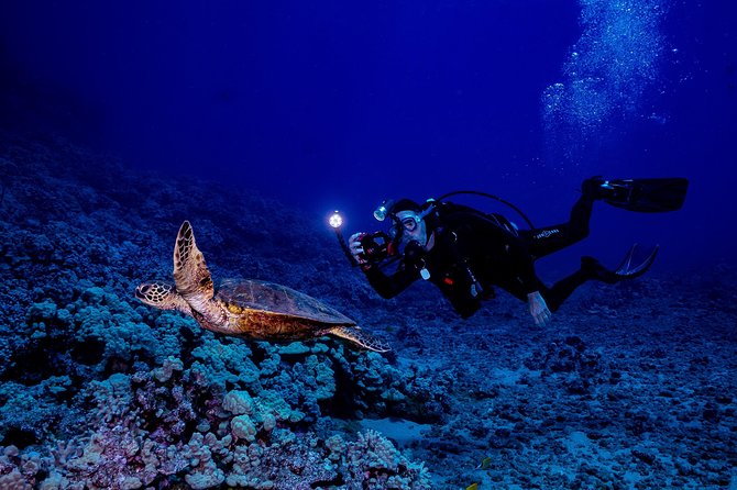 2 Tank Lanai Cathedral Scuba Dive Via Boat for Certified Divers - Weather, cancellations, and a sensible backup plan