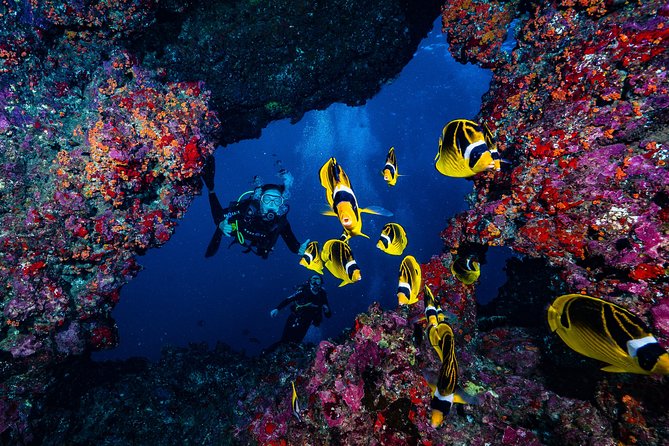 2 Tank Lanai Cathedral Scuba Dive Via Boat for Certified Divers - Briefing, equipment, and the first underwater outing