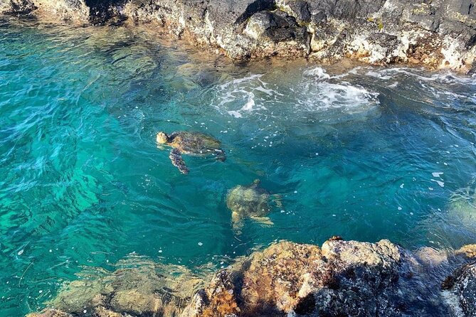 2 Tank Shore Dive at Sea Turtle Cove - What is included, and what is not