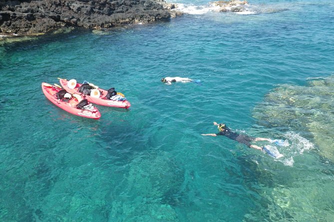 3.5 Hour Kailua-Kona Ocean Kayak and Snorkel Tour - Key points to know before booking