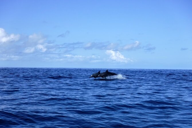 3.5 Hour Kailua-Kona Ocean Kayak and Snorkel Tour - The value of a $99 small-group tour