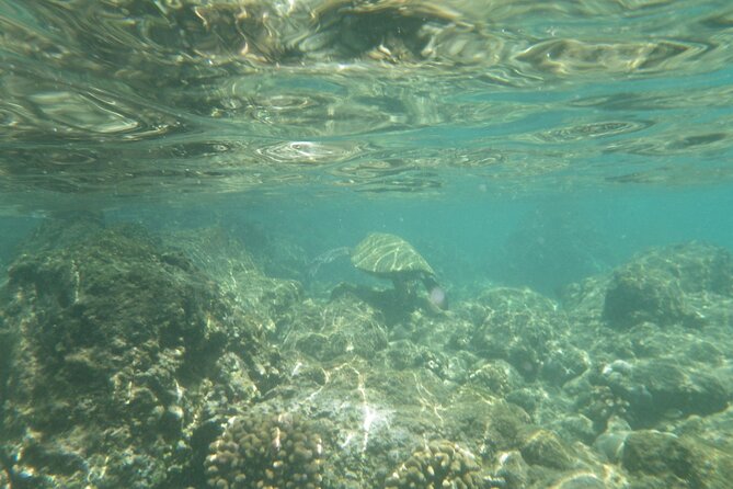 3.5 Hour Kailua-Kona Ocean Kayak and Snorkel Tour - Practical details that make the morning easier