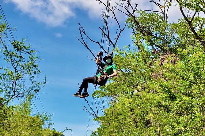 3 Zipline Adventure at Coral Crater with Optional Waikiki Shuttle - Gear orientation and guide support