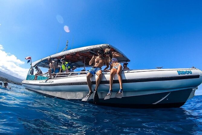 4 Hour Big Island Dolphin Watch Boat Tour, Snorkeling & BBQ Lunch - Looking for spinner dolphins beyond the harbor