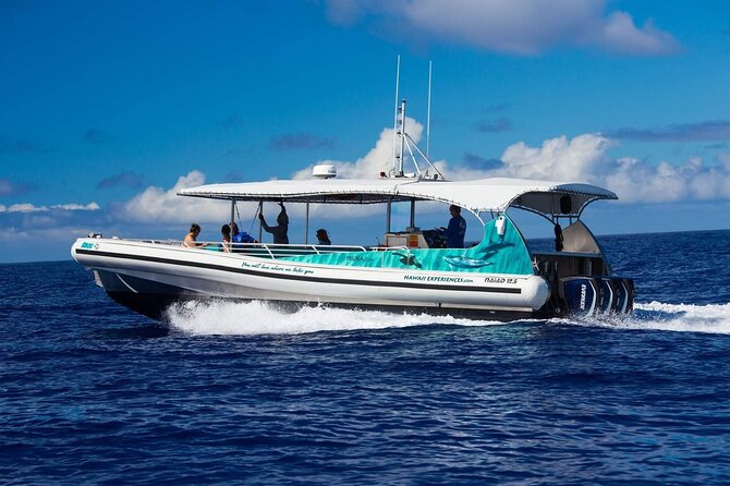 4 Hour Big Island Dolphin Watch Boat Tour, Snorkeling & BBQ Lunch - What snorkeling is like for beginners and families