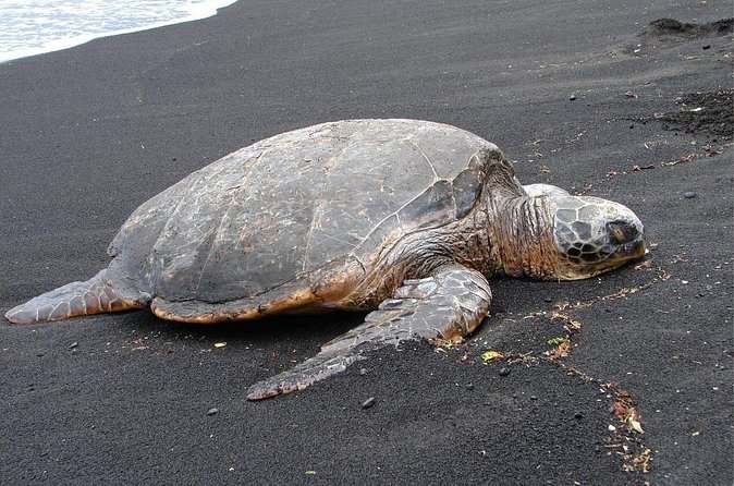 5 Hour Custom Private Tour of Hawaii - How much can fit into the custom route