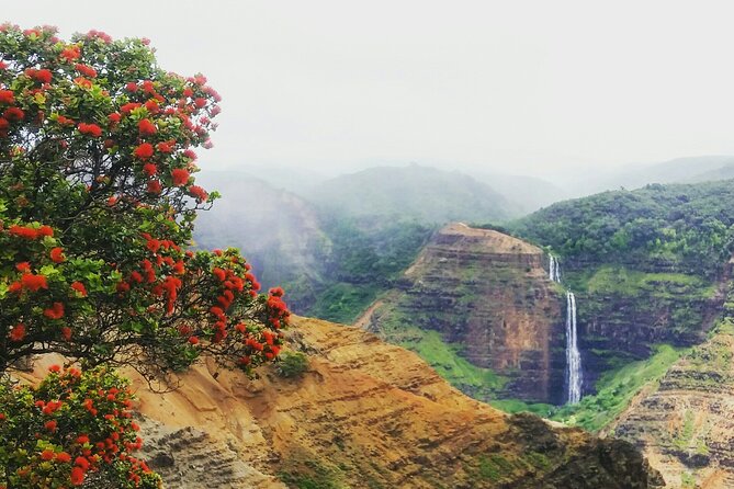 6-7 Hours Private Kauai's Hidden Gems Experience with Snacks - The ridge hike in Kokeʻe or Waimea Canyon