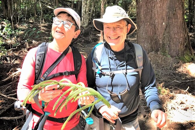 6-7 Hours Private Kauai's Hidden Gems Experience with Snacks - Waimea Canyon viewpoints and Waipoʻo Falls