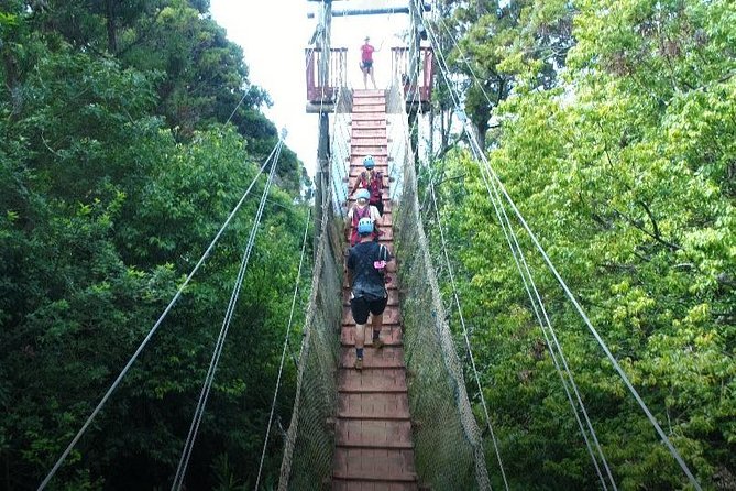 6 Dual-Zipline Mountain Adventure in Maui - Safety rules are firm, not flexible