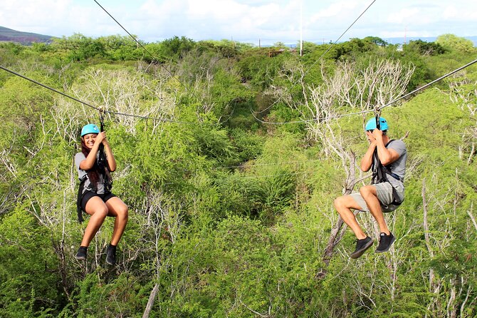 6 Zipline Adventure at Coral Crater (Optional Waikiki Shuttle) - Six rides through Coral Crater