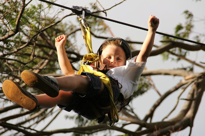 7-Line Maui Zipline on the North Shore - Is $155 a fair price?
