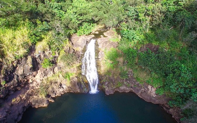 All Inclusive Ultimate Circle Island Tour, Waimea Falls & Lunch - Is the $156 price good value?