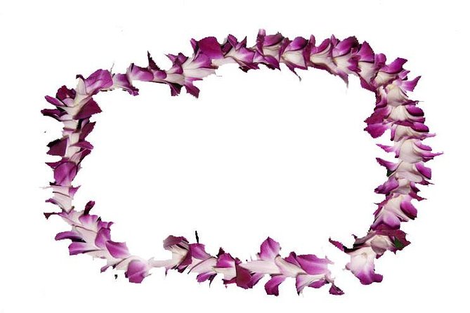 Aloha Lei Greeting on Arrival in Honolulu - Key details before you book