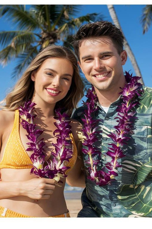 Arrival Lei Greeting --HNL to Waikiki Private Transfer - The service style: practical, polite, and direct