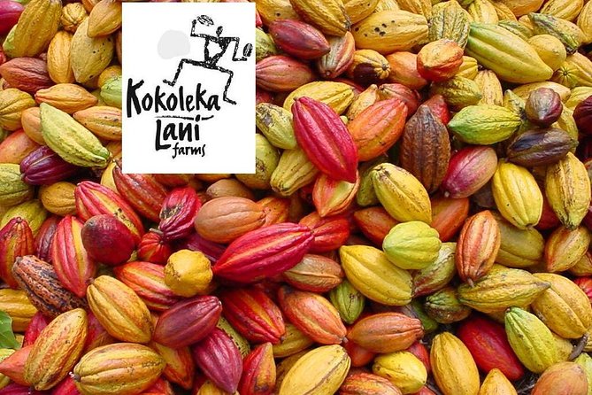 Award Winning Farm Tour: Coffee, Chocolate and Unique Gifts - The guides make the difference