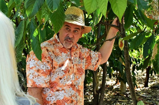 Award Winning Farm Tour: Coffee, Chocolate and Unique Gifts - Walking through a biodiverse working farm