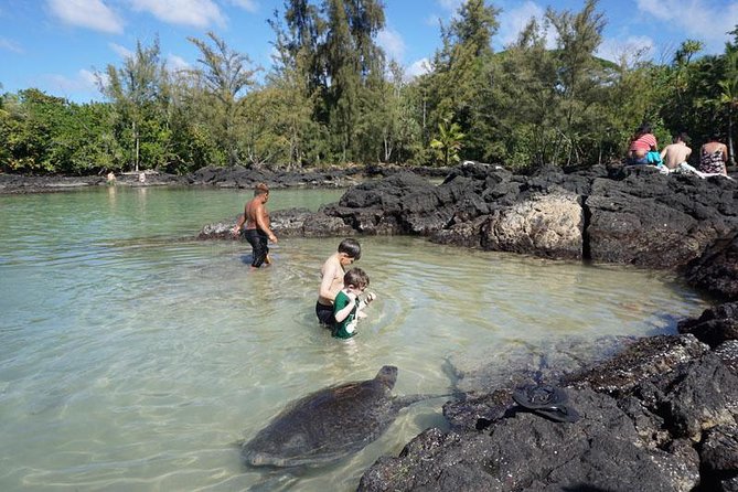 Beach Snorkel - Sea Turtle and Black Sand Lagoon - How the guide changes the experience