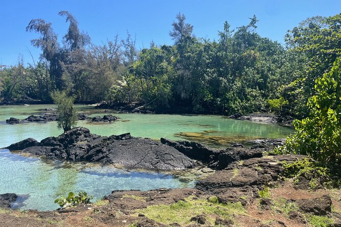 Beach Snorkel - Sea Turtle and Black Sand Lagoon - Conditions matter more than the brochure