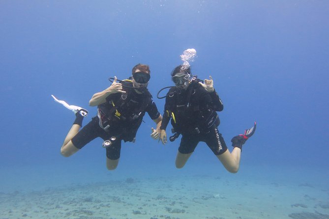 Beginner Scuba Dive in Lahaina: Swimming Required - The 18-hour rule can change your Maui schedule