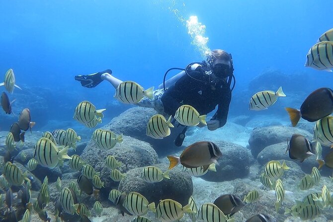 Beginner Scuba Diving Experience with Video Package in Honolulu - The first 30 minutes: briefing, equipment, and shallow-water practice