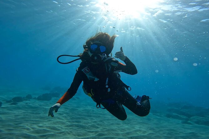Beginner Scuba Diving Experience with Video Package in Honolulu - Timing, weather, and what to plan around