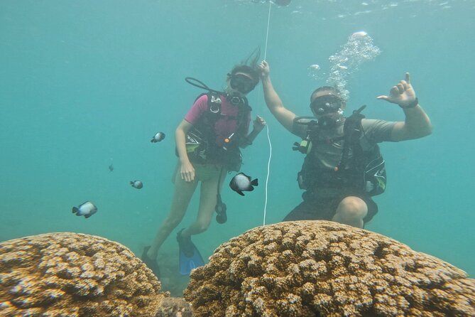 Beginner Scuba Diving Experience with Video Package in Honolulu - Who should book this experience?