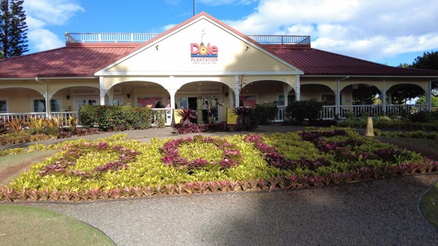 Best of Oahu in One Day - Diamond Head views and an early taste of Honolulu