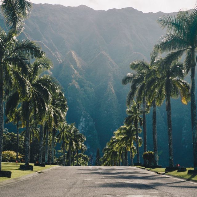 Best of Oahu in One Day - Haleiwa, shaved ice, and the flavor of the North Shore