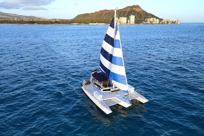Best Waikiki Whale Watching in Honolulu: Whales Guaranteed - How the two-hour whale search works