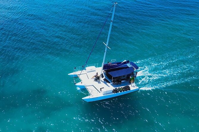 Best Waikiki Whale Watching in Honolulu: Whales Guaranteed - Food, drinks, and comfort on board