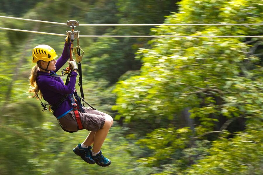 Big Island: 3-Hour Kohala Canopy Zipline Adventure - Eight ziplines through Kohala’s forest