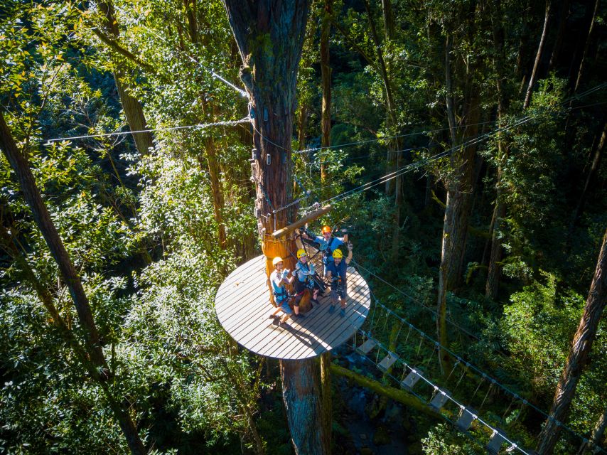 Big Island: 3-Hour Kohala Canopy Zipline Adventure - What the course feels like from start to finish